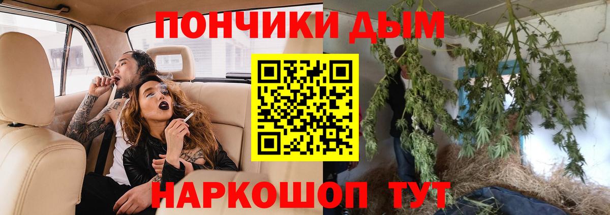Каннабис Bruce Banner  Вход с VPN  Шишки марихуана план  Кызыл 